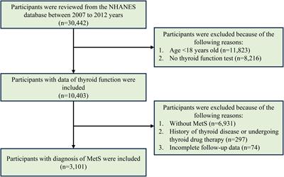 Associations between peripheral thyroid sensitivity and all-cause and cardiovascular mortality in the US adults with metabolic syndrome